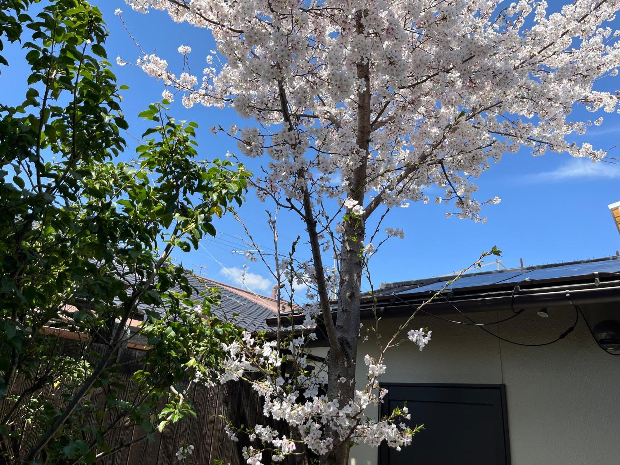 Nishijin No Sato 西陣之郷 -100 Yrs Smart & Sustainable Ai Arthouse With 10Gbps Wifi - Quioto Exterior foto